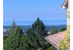 2026-08-07 Sequim Real Estate