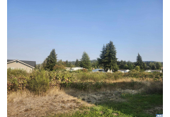 421  Salal Place
