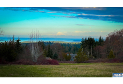 404  Black Bear Trail