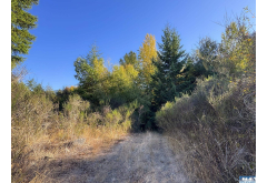 999  Chasewood Dr.